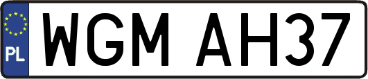 WGMAH37