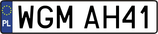 WGMAH41