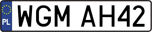 WGMAH42