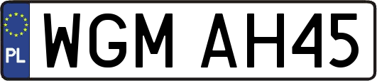 WGMAH45