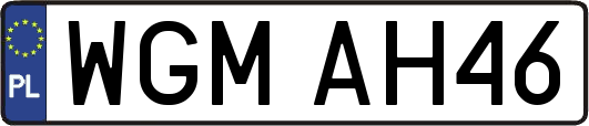 WGMAH46