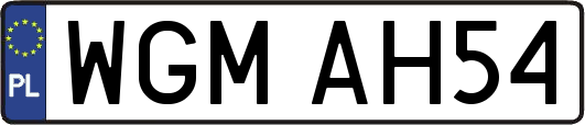 WGMAH54