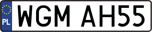 WGMAH55