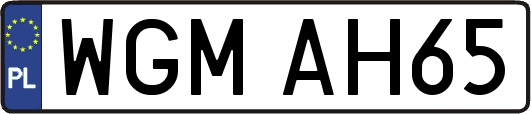 WGMAH65