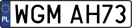 WGMAH73