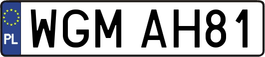 WGMAH81