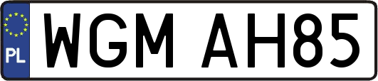 WGMAH85
