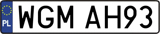 WGMAH93