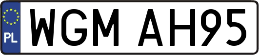 WGMAH95