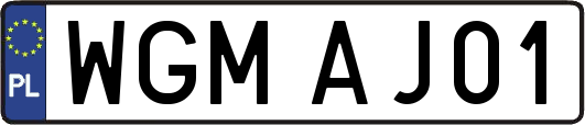 WGMAJ01