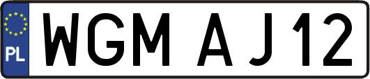 WGMAJ12