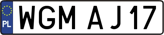WGMAJ17