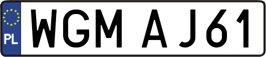 WGMAJ61