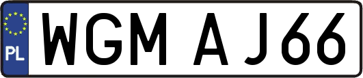 WGMAJ66