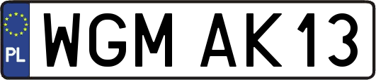WGMAK13