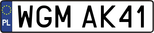 WGMAK41
