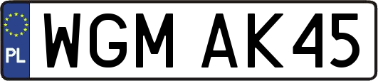 WGMAK45