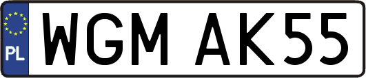 WGMAK55