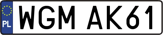 WGMAK61