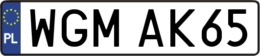 WGMAK65