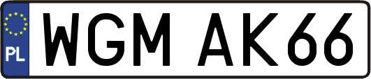 WGMAK66
