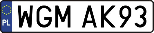 WGMAK93