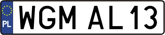 WGMAL13