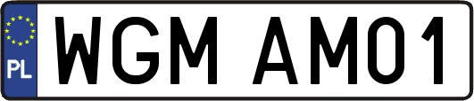 WGMAM01