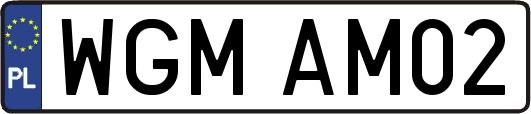 WGMAM02