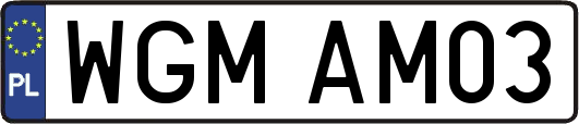 WGMAM03
