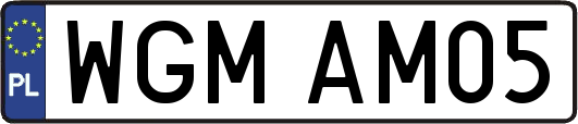 WGMAM05
