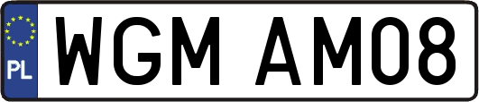 WGMAM08