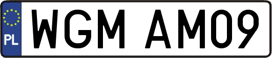 WGMAM09