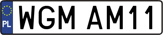 WGMAM11