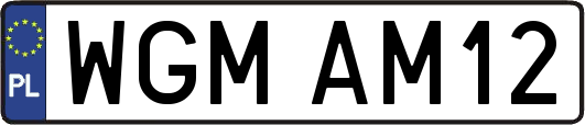 WGMAM12