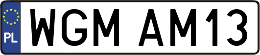 WGMAM13