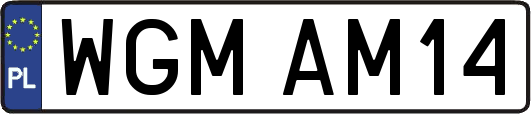 WGMAM14