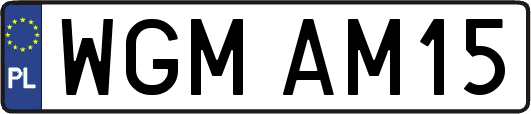 WGMAM15