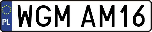 WGMAM16