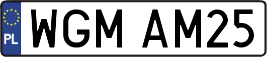 WGMAM25