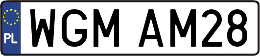 WGMAM28