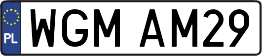 WGMAM29
