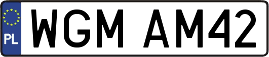 WGMAM42