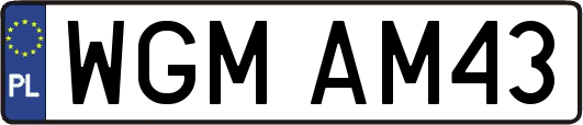 WGMAM43