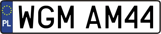 WGMAM44