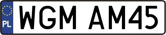 WGMAM45