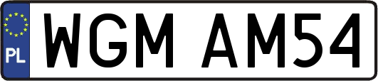 WGMAM54
