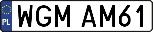 WGMAM61