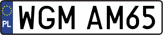 WGMAM65