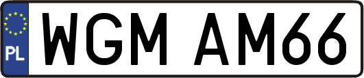 WGMAM66